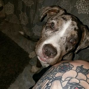 Meet your Posher, Amynda